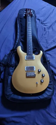 Guitarra PRS DGT SE