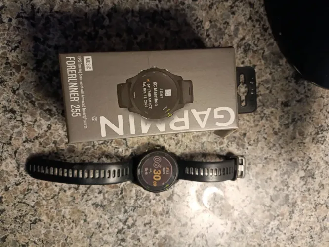 Garmin 255 music