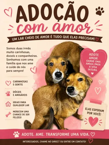 ADOÇÃO DUAS CACHORRINHAS GÊMEAS 