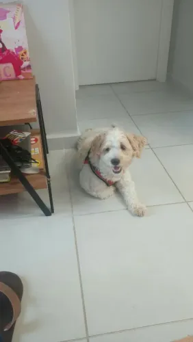Doação