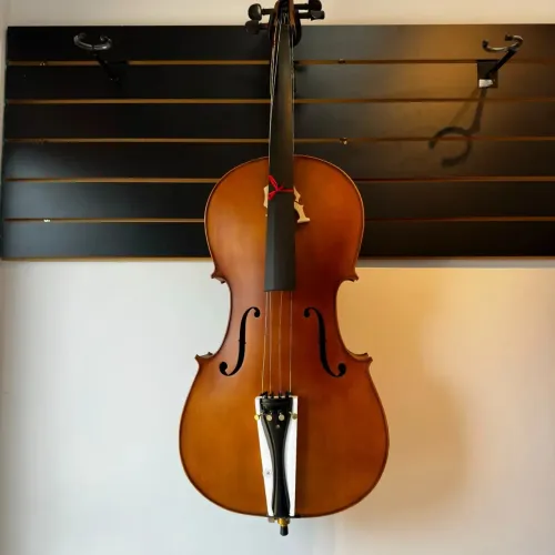 VIOLONCELO EAGLE CE-300
