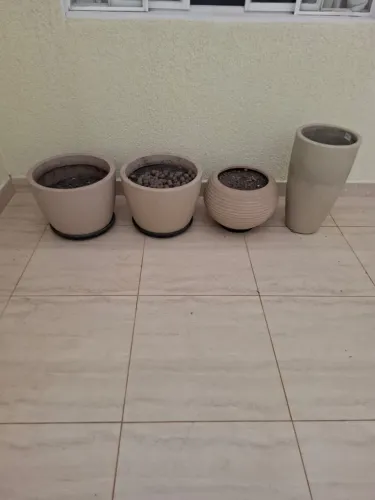 Vasos de planta