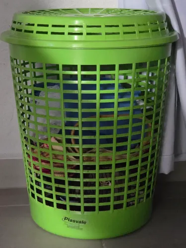 Cesto de roupa