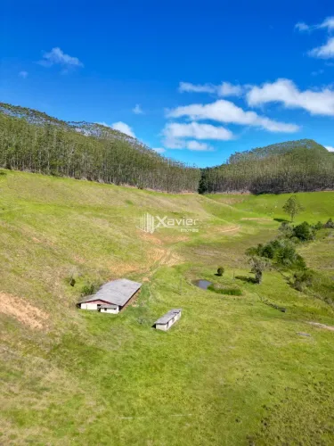 Fazenda com 12 Alqueires à Venda em Alfredo Chaves/ES - Água Abundante, Eucalipto e Potenc
