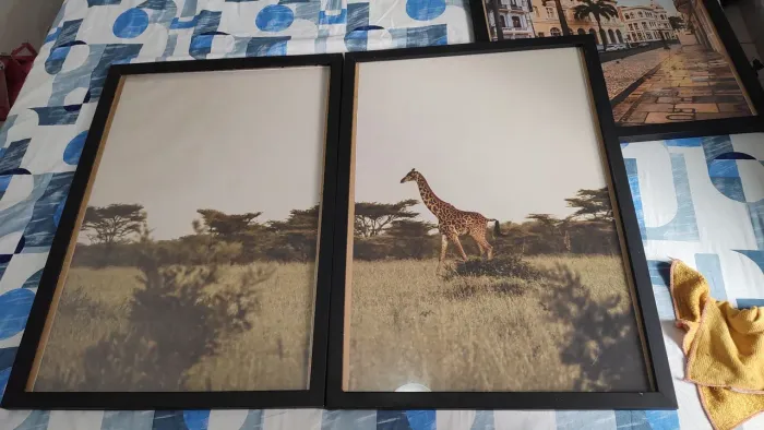 Quadros Molduras grandes com vidro