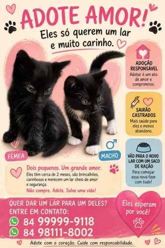 Adoção de gatinho