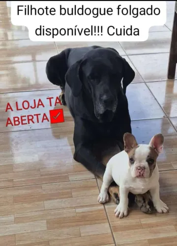 Disponível pronto pra retirar