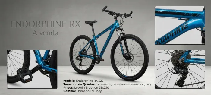 Vendo Bicicleta Endorphine aro29