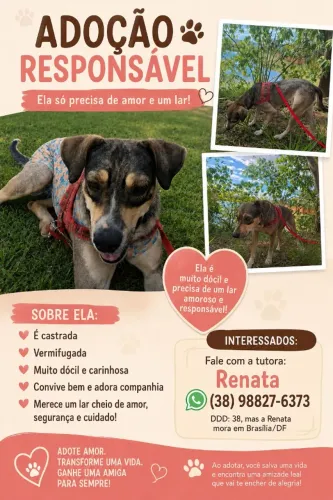 Doação