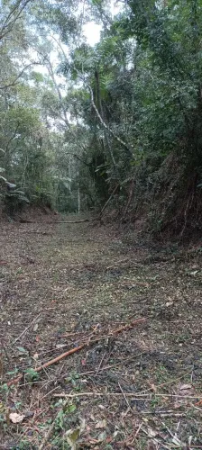 VD TERRENO 5.000 M2, SÃO ROQUE-SP (1h da Capital)
