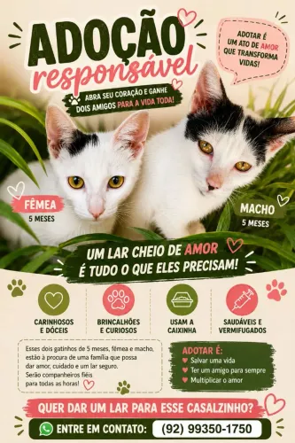 Adote dois gatinhos?