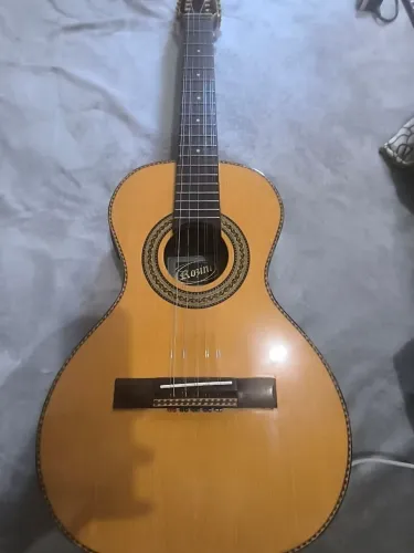 Vendo viola caipira Rozini elétrica de 10 cordas, instrumento de excelente qualidade.