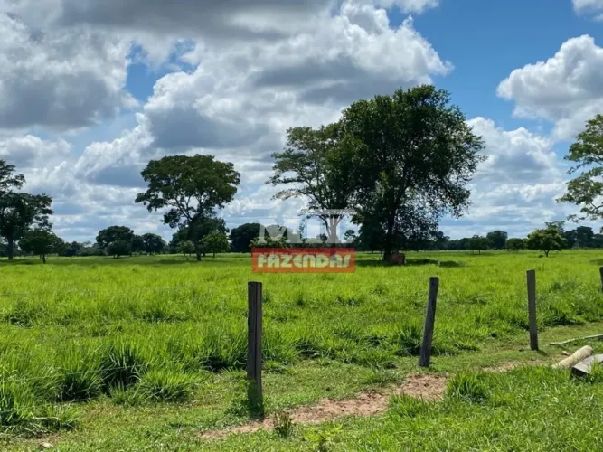 Fazenda de 375 alqueires (1.815 ha) no município do Cocalinho - Mato Grosso