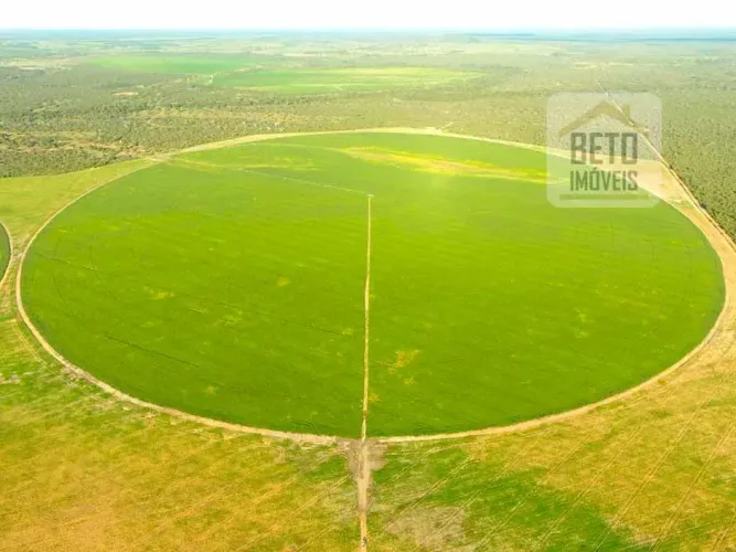 Fazenda/Sítio/Chácara para venda com metros quadrados em Zona rural - Peixe - TO