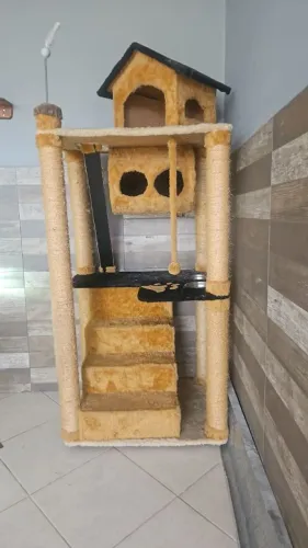 Casa de gatos