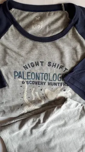 Conjunto Pijama Infantil Curto Marca Hering Kids Tam 14 Cinza usado em bom estado