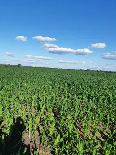 Fazenda de produção 180 mil o alqueiro