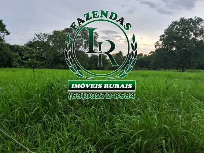 Fazenda 29 Alqueires Região Aparecida Rio Negro