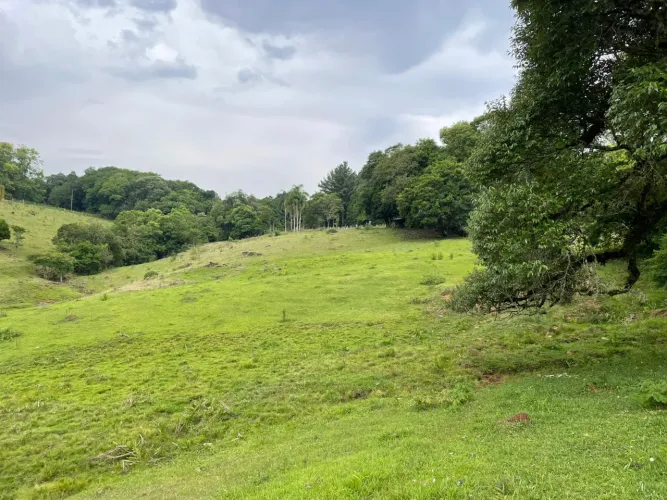 3 hectares com riacho e linda vista em Três Coroas