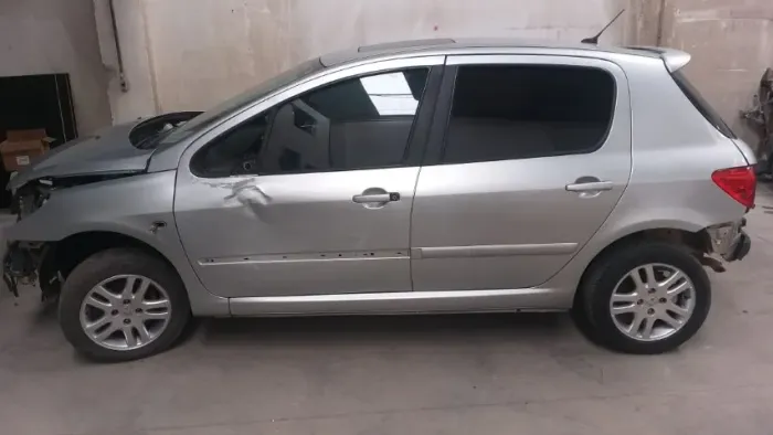 Sucata Venda De Pecas Peugeot 307 2006 2.0