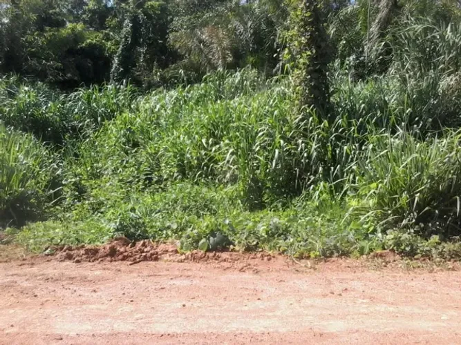 Vendo Terreno de 12500M² 100 metros da Rodovia BR 364