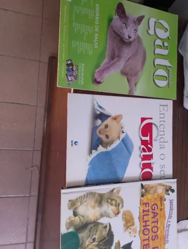 Coleção de livros e revistas sobre gatos