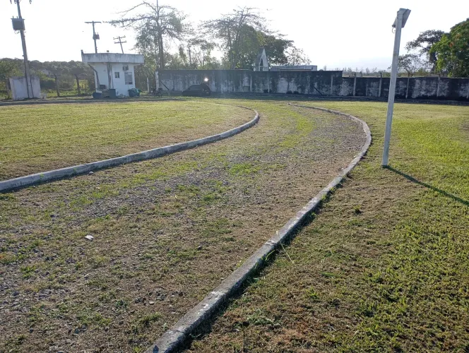 Serviço de jardinagem e limpeza de terrenos
