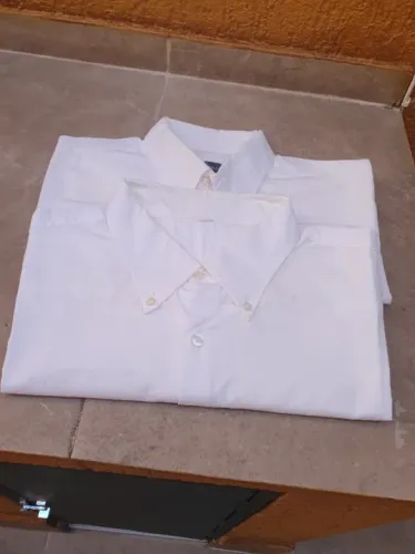 Camisas Brancas Mangas Curtas