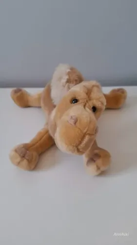 Pelúcia Dromedário