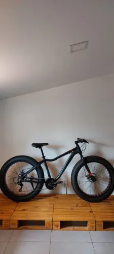 Bicicleta Fat