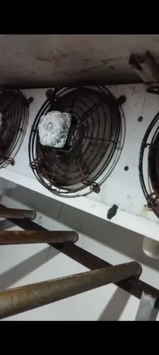 Câmera frigorífica de resfriado 