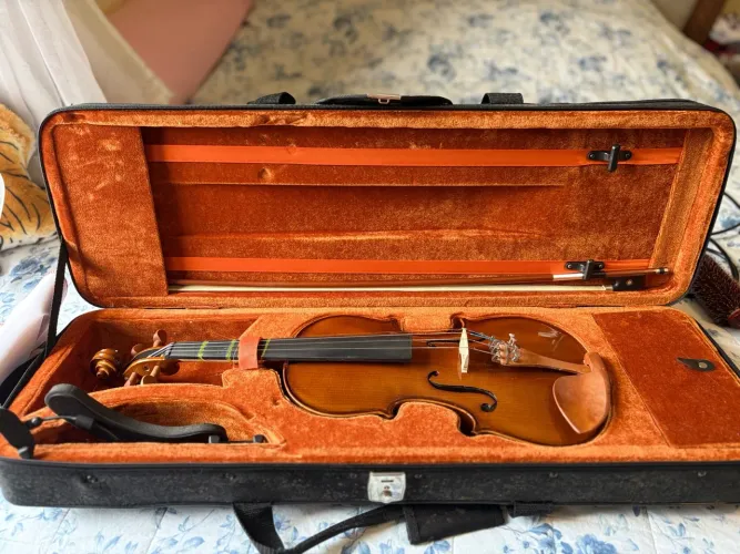 Violino Eagle (2 meses de uso)