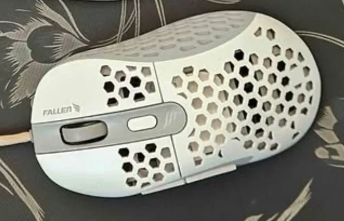 Mouse gamer fallen