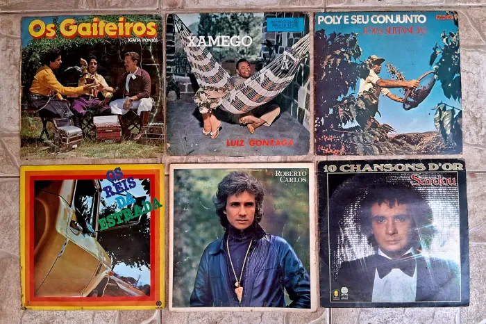 Disco de Vinil