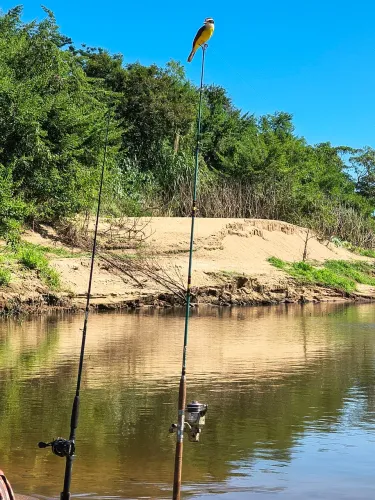 Barco 4,5 metros + motor Hidea 9.8