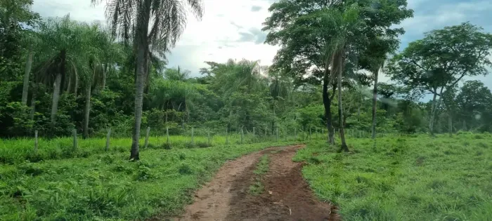 CÓD288 Fazenda 4.655 ha | 70 km de Camapuã/MS