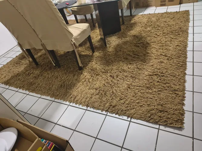Tapete para sala