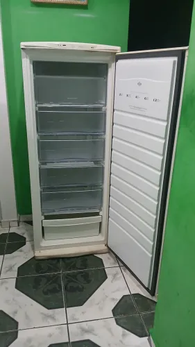 Freezer vertical Brastemp 110v ( ENTREGO )
