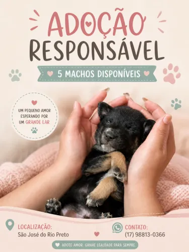 Doação de cachorros
