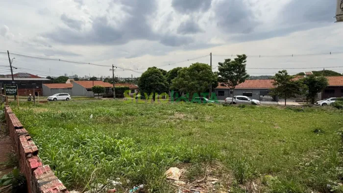 Terreno Comercial à Venda - Avenida Tuiuti / Maringá PR