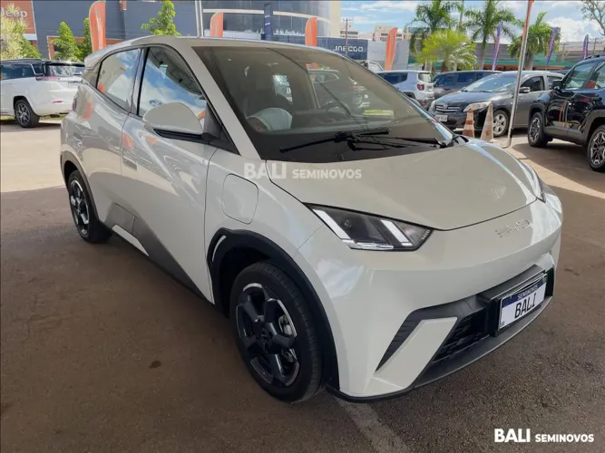 BYD Dolphin Mini (Elétrico) 2025