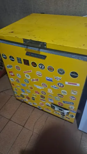 Freezer 220v