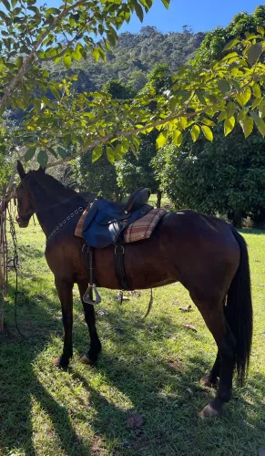 Vende se