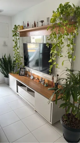 Painel, Rack e prateleira.