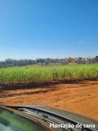 Fazenda em Mirassolândia com 26 Alqueires arrendada para cana