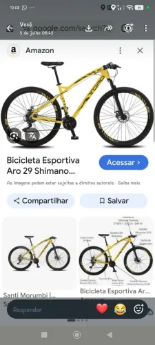 Bicicleta