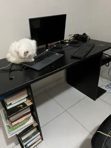 Vende-se escrivaninha madeira