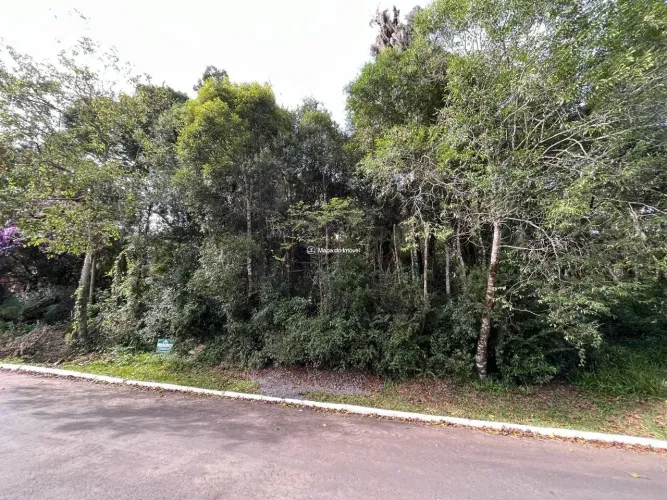 Terreno à Venda em Gramado - Oportunidade Única!