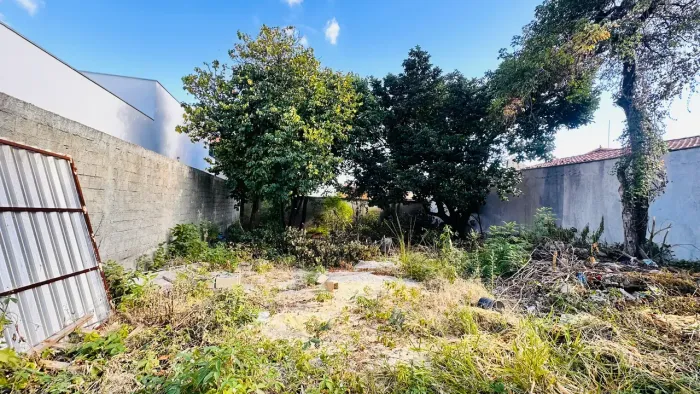Imóvel para venda possui 360 metros quadrados em Planalto - Belo Horizonte - MG