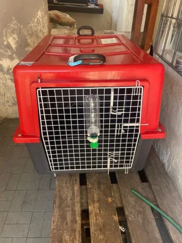 Casa para cachorro porte pequeno/medio/grande